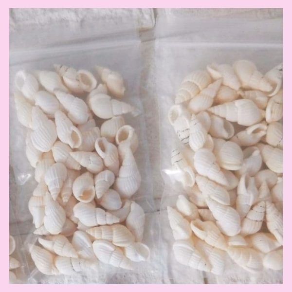 Conchitas Natural x 20gr.