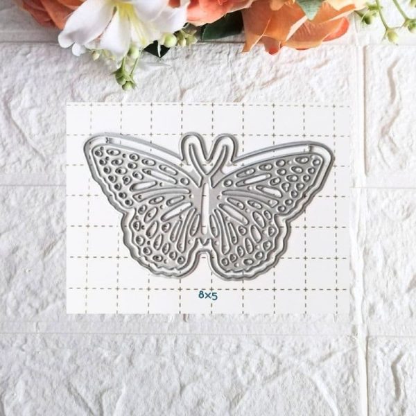 Mariposa con Sombra