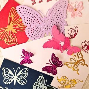 Mariposa e Insectos